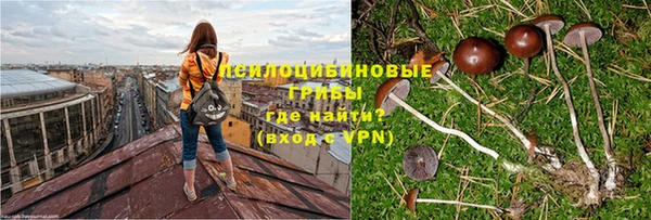 скорость Гусиноозёрск