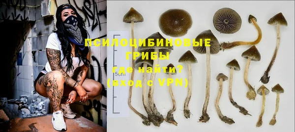 дурь Вязьма