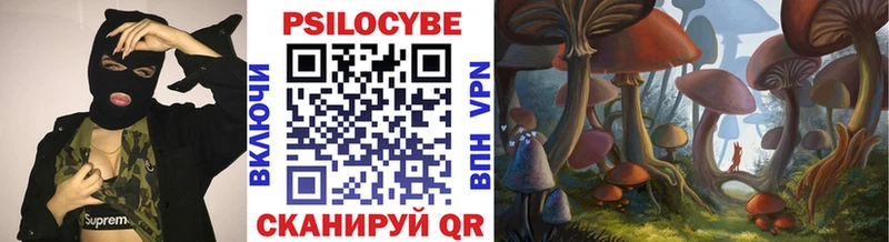 дарк нет состав  Гусев  Галлюциногенные грибы ЛСД 